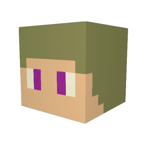 sou5 Minecraft avatar head, 3D render