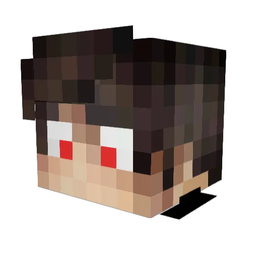 sou_noob Minecraft avatar head, 3D render
