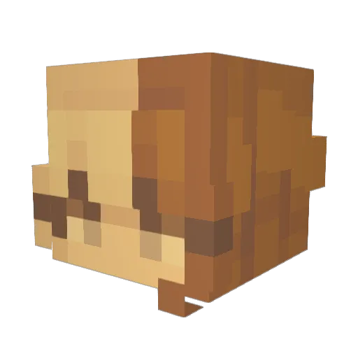 soubinbag Minecraft avatar head, 3D render