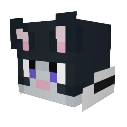 soudakatt Minecraft avatar head, 3D render