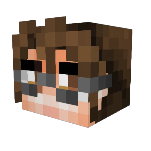 soughtarbiter Minecraft avatar head, 3D render