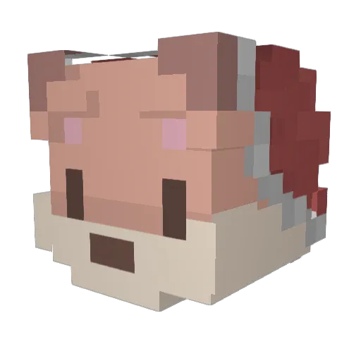 souki2512 Minecraft avatar head, 3D render