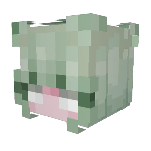soul_slayer16 Minecraft avatar head, 3D render