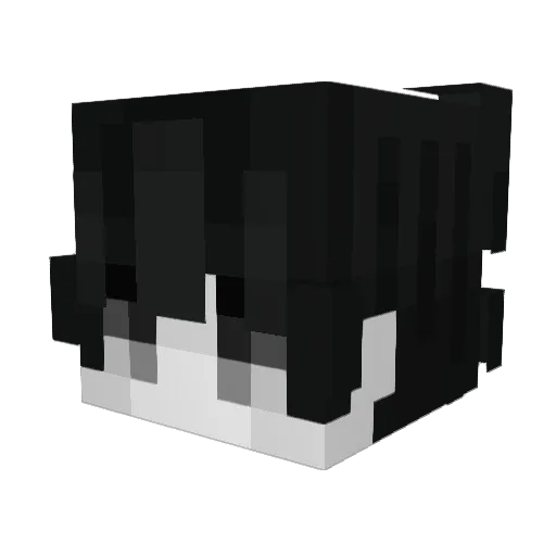 soul_v7 Minecraft avatar head, 3D render