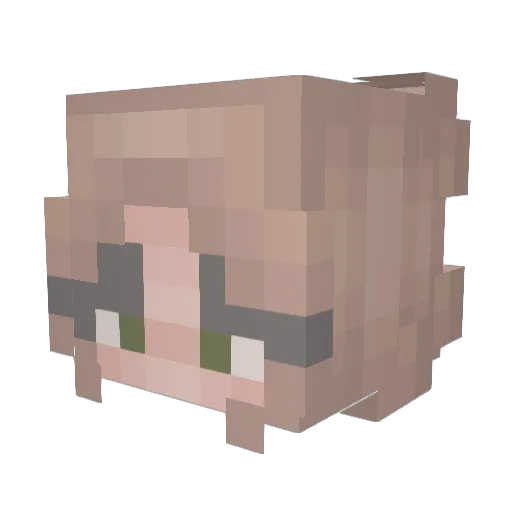 soulcent Minecraft avatar head, 3D render