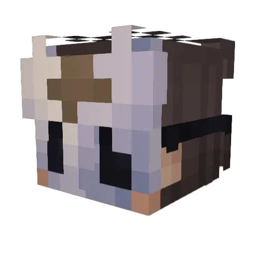 soulessplayz Minecraft avatar head, 3D render