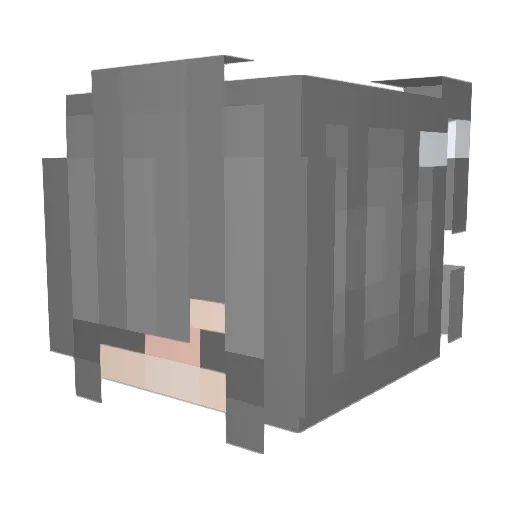 soulle55 Minecraft avatar head, 3D render
