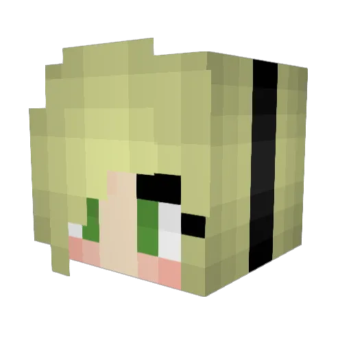 soulofarmor Minecraft avatar head, 3D render