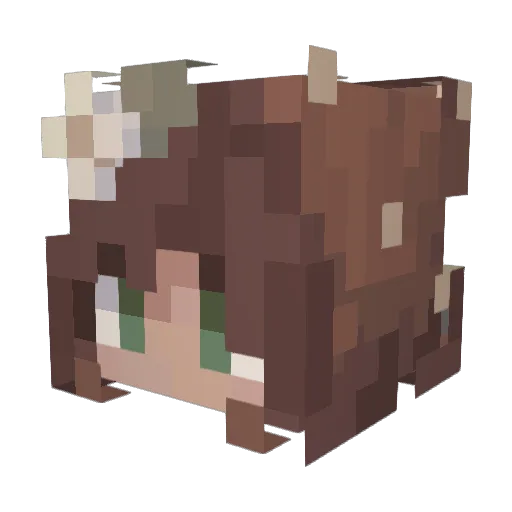 soulofmerry Minecraft avatar head, 3D render