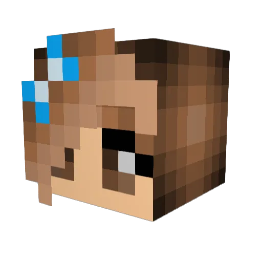 soulplexis Minecraft avatar head, 3D render