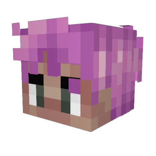 soulsMC Minecraft avatar head, 3D render