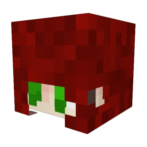 soulsalvation Minecraft avatar head, 3D render
