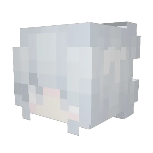 soulst4rvd Minecraft avatar head, 3D render