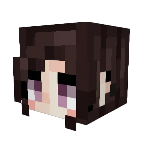 soultrain13 Minecraft avatar head, 3D render