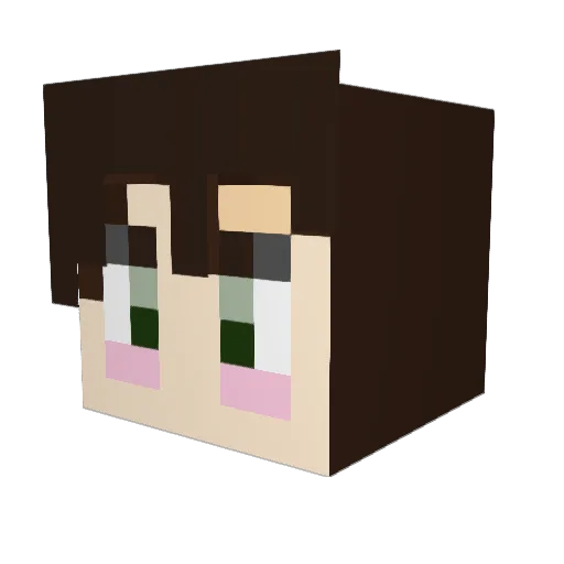 soultree527 Minecraft avatar head, 3D render