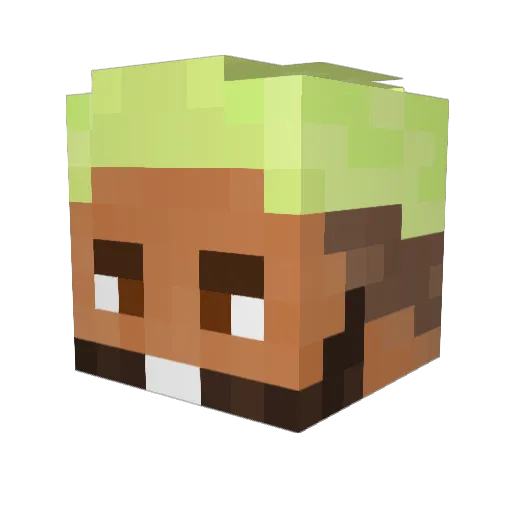soulz01 Minecraft avatar head, 3D render
