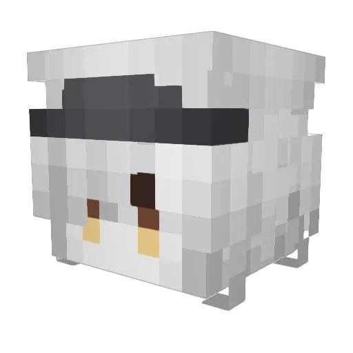 soup113 Minecraft avatar head, 3D render