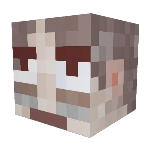 soup9999 Minecraft avatar head, 3D render