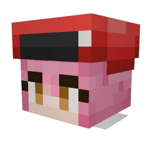 soup_64 Minecraft avatar head, 3D render