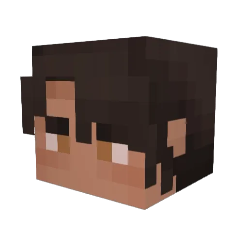 soup__champ Minecraft avatar head, 3D render