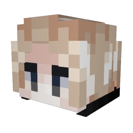 soup_extra Minecraft avatar head, 3D render