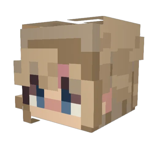 soup_time7 Minecraft avatar head, 3D render