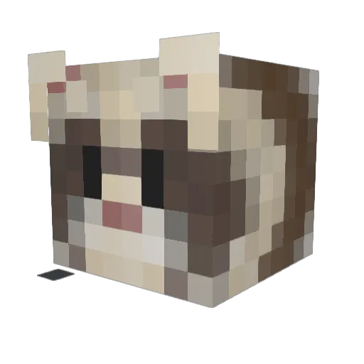 soup_uwu Minecraft avatar head, 3D render