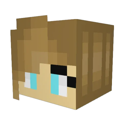 soupcat1 Minecraft avatar head, 3D render