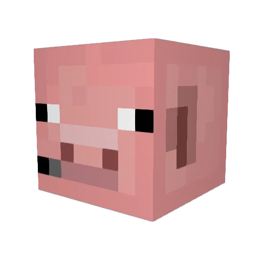 souper_team Minecraft avatar head, 3D render