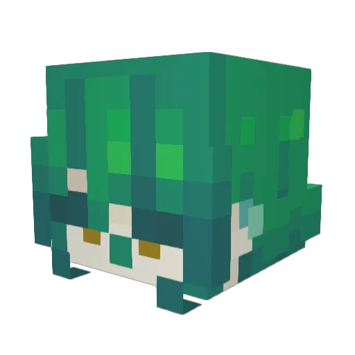 souperstitions Minecraft avatar head, 3D render
