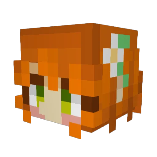 soupespaghetti Minecraft avatar head, 3D render