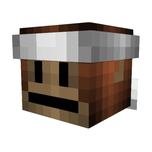 soupexe Minecraft avatar head, 3D render