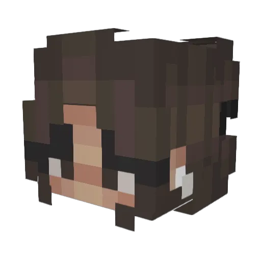 soupisreallycool Minecraft avatar head, 3D render