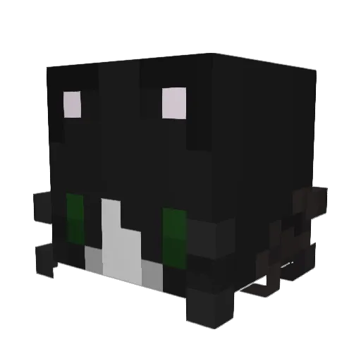 soupncat Minecraft avatar head, 3D render