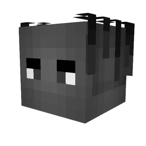 soupofmonkey Minecraft avatar head, 3D render