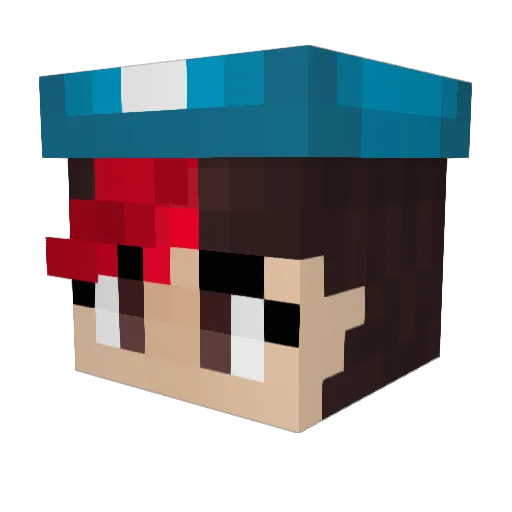 soupr__ Minecraft avatar head, 3D render