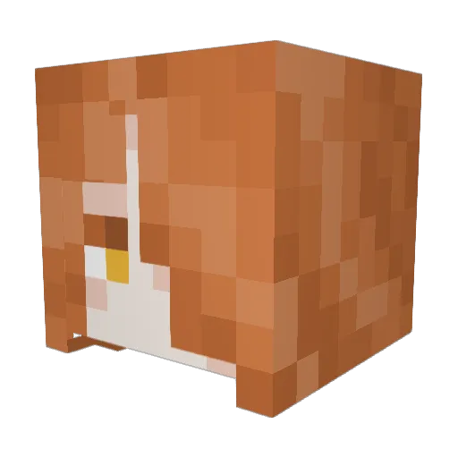 soupsanctum Minecraft avatar head, 3D render