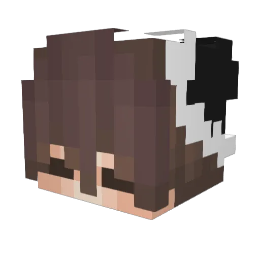 soupudon Minecraft avatar head, 3D render