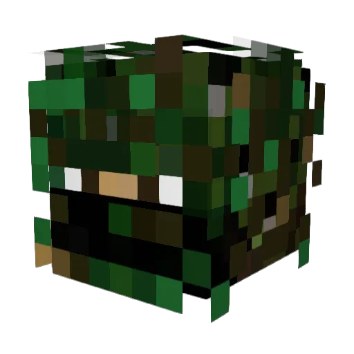 soupy989 Minecraft avatar head, 3D render