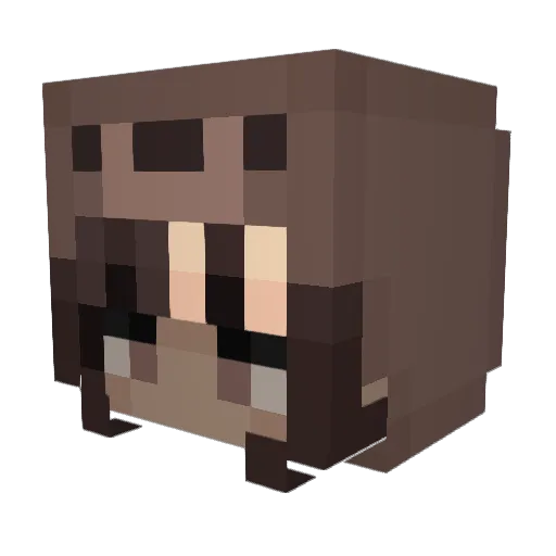 soupyluuuu Minecraft avatar head, 3D render