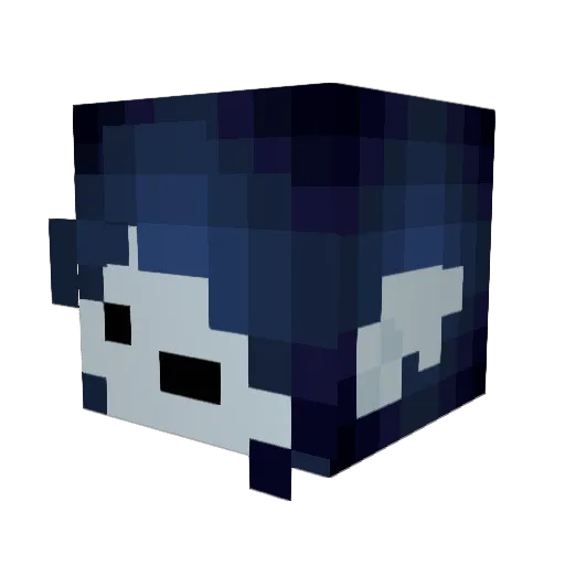 soupyshay Minecraft avatar head, 3D render