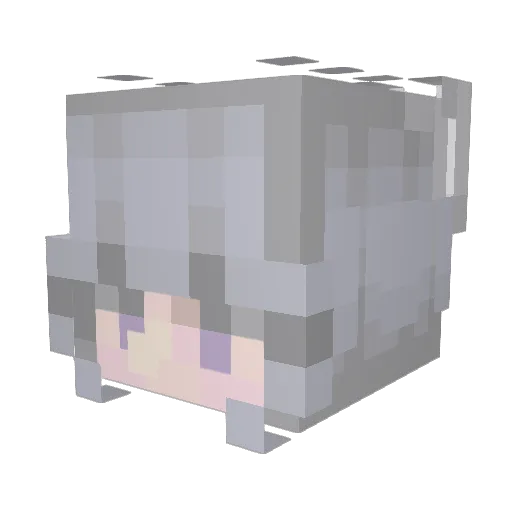 soupysoopie Minecraft avatar head, 3D render