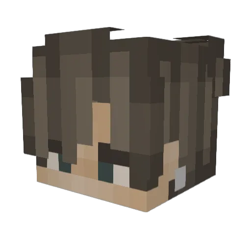 sourbears Minecraft avatar head, 3D render