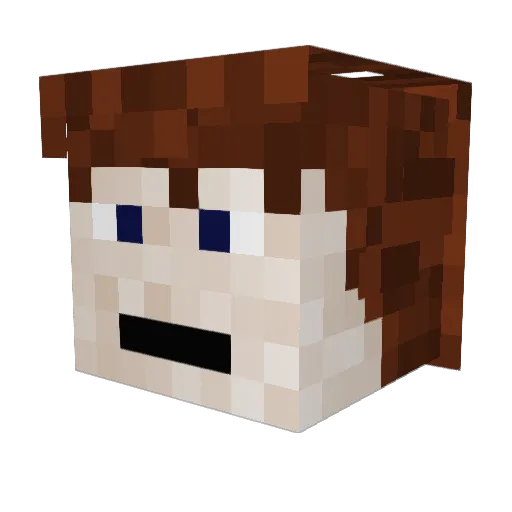 sourberriez Minecraft avatar head, 3D render