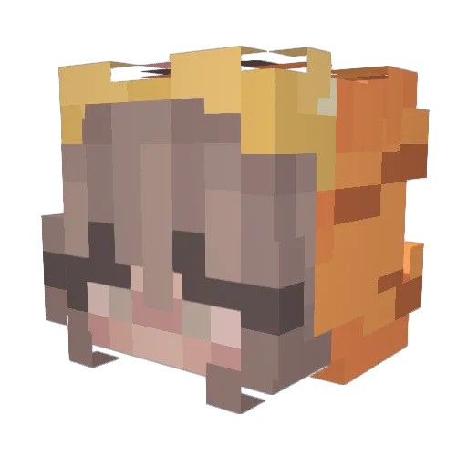 sourfool Minecraft avatar head, 3D render
