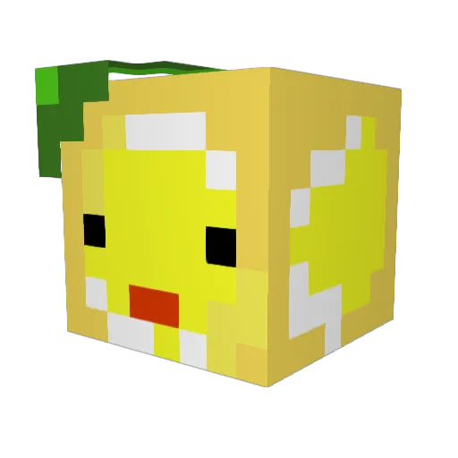 sourlmonade Minecraft avatar head, 3D render