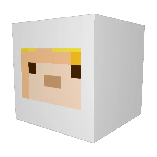 sourpeep Minecraft avatar head, 3D render