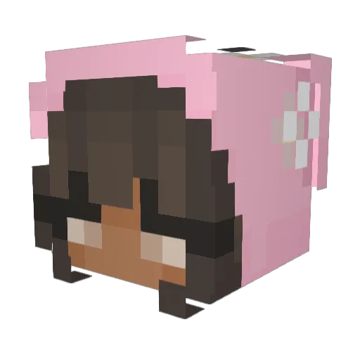 sourshelly Minecraft avatar head, 3D render