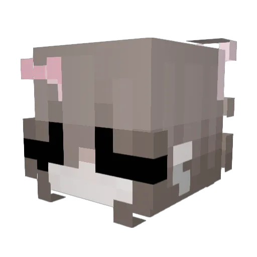 soursun_n Minecraft avatar head, 3D render