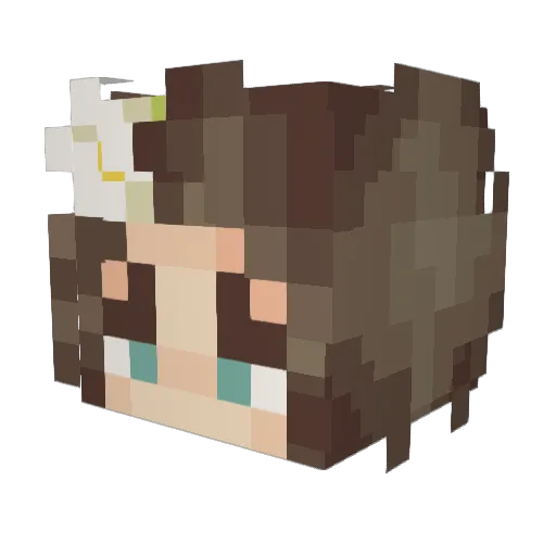sourwolf91 Minecraft avatar head, 3D render
